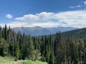 IMG_1840-300x225.jpeg