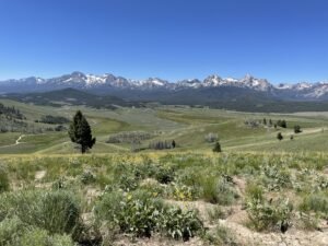 IMG_5018-300x225.jpeg